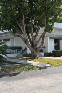 Clearwater Dental Associates photo 38