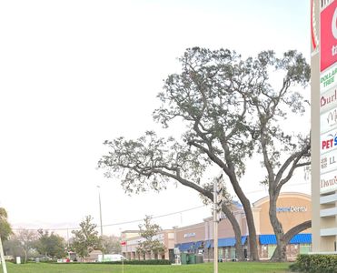 Aspen Dental – Clearwater, FL photo 6