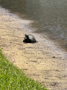 Sunset Point Dental – Clearwater photo 24