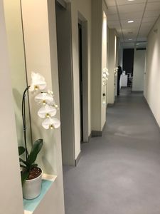 Natural & Cosmetic Dentistry photo 10