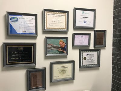 Natural & Cosmetic Dentistry photo 23