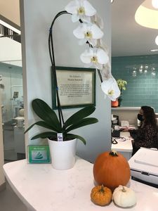 Natural & Cosmetic Dentistry photo 42