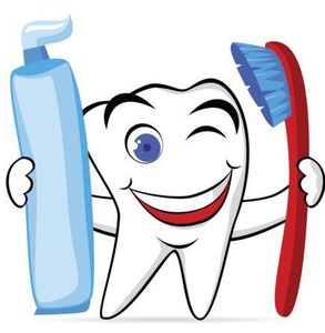 Bayview Dental photo 40