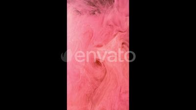 The Dentist Place Of Clearwater photo 24