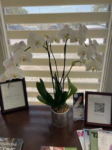 Hila Dental – Virginia M. Melmed, DDS photo 18