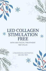 Lynn Roscioli Aesthetics photo 9