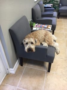 Gulf Coast Spine & Sport, LLC photo 47