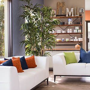 Maxliving Naples Chiropractic photo 10