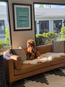 Maxliving Naples Chiropractic photo 19