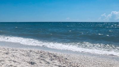 Amanda M Ferguson DC Paradise Coast Chiropractic