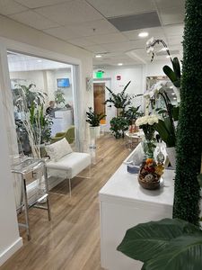 My TOX Lady Medical Spa