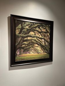 Neapolitan Spa photo 25