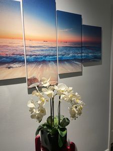 Neapolitan Spa photo 44