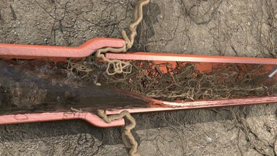 Roto-Rooter Plumbing & Drain Services photo 42