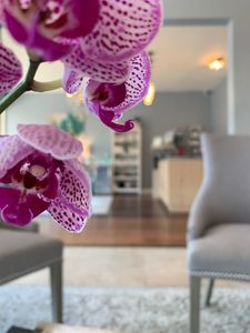 Skin Radiance Med Spa photo 21