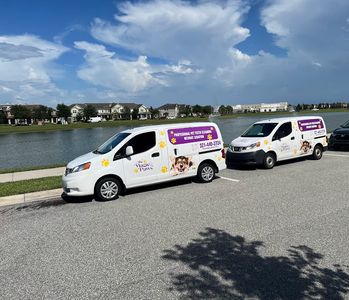 The Magic Paws Pet Dental Cleaning Tampa