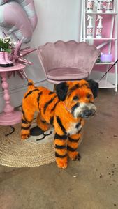 Pet Glam Spa photo 30