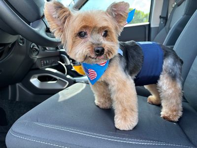 Pet Glam Spa photo 39