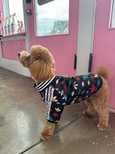 Pet Glam Spa photo 49