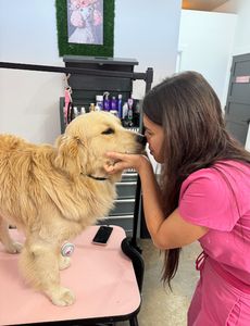 Pet Glam Spa photo 22