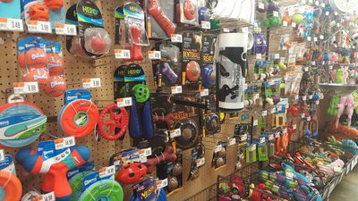 Pet Supplies Plus Tampa photo 18