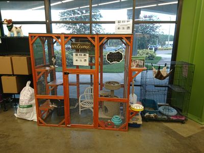 Pet Supplies Plus Tampa photo 20