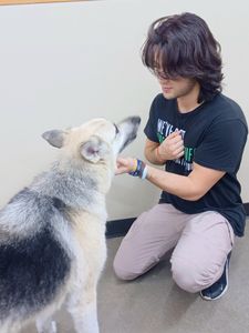 Pet Supplies Plus Tampa photo 22