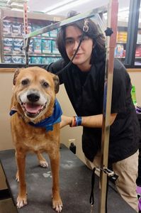 Pet Supplies Plus Tampa photo 23