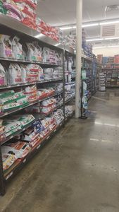 Pet Supplies Plus Tampa photo 27