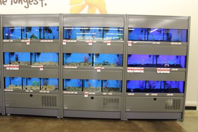 Pet Supplies Plus Tampa photo 28