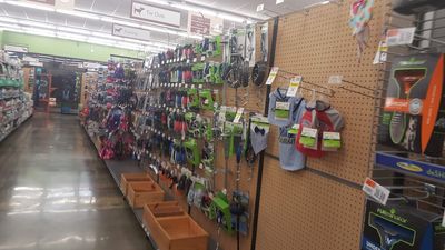 Pet Supplies Plus Tampa photo 32