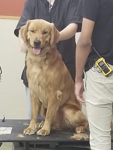 Pet Supplies Plus Tampa photo 33