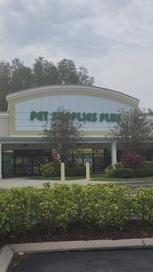 Pet Supplies Plus Tampa photo 36