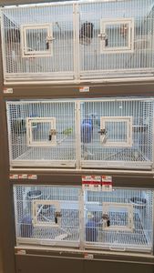 Pet Supplies Plus Tampa photo 37