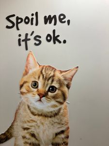 Pet Supplies Plus Tampa photo 39