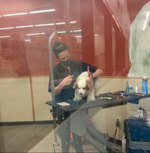 Pet Supplies Plus Tampa photo 43