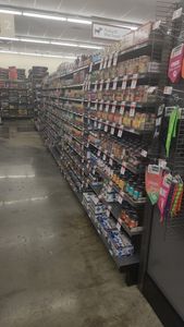 Pet Supplies Plus Tampa photo 47