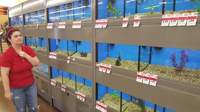 Pet Supplies Plus Tampa photo 49