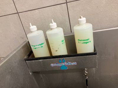 Pet Supplies Plus Tampa photo 50