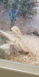 Pet Supplies Plus Tampa photo 52