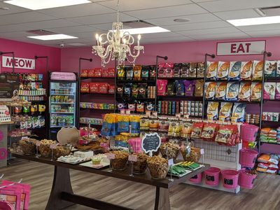 Woof Gang Bakery & Grooming Carrollwood