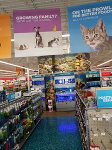 Petco Grooming photo 17