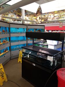 Petco Grooming photo 22