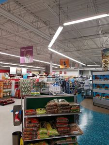 Petco Grooming photo 23