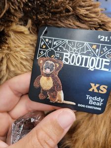 Petco Grooming photo 40