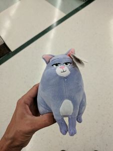 Petco Grooming photo 42