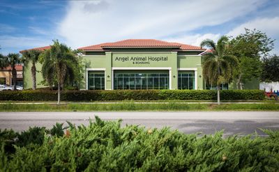 Angel Animal Hospital & Boarding photo 2