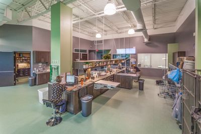 Angel Animal Hospital & Boarding photo 6