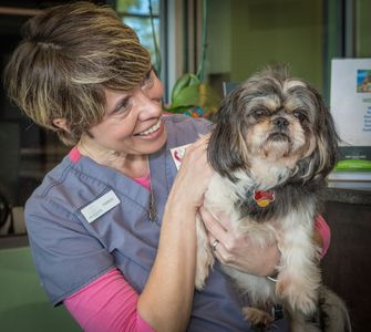Angel Animal Hospital & Boarding photo 11
