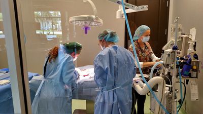 Angel Animal Hospital & Boarding photo 19